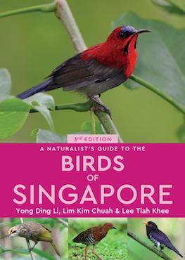 A Naturalist’s Guide to: The Birds of Singapore