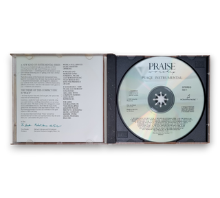 Experience Peace Instrumental