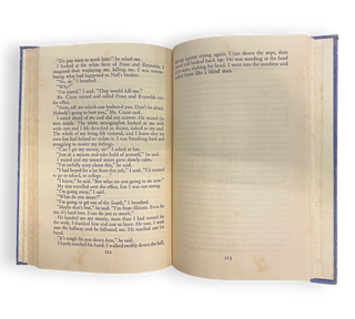 Black Boy: A Record of Childhood and Youth