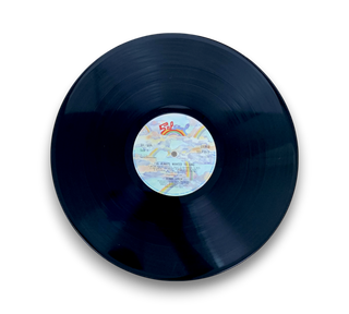 I've Always Wanted To Sing...Not Just Write Songs