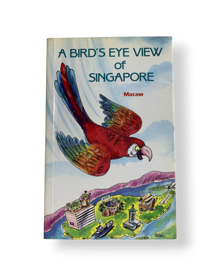 A Bird's Eye View of Singapore