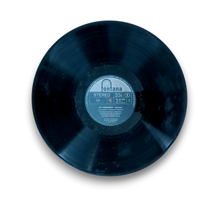 Der Zigeunerbaron / Polenblut