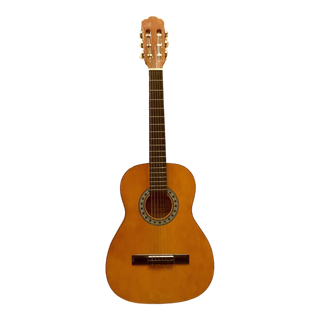 TGM Classical Acoustic Guitar