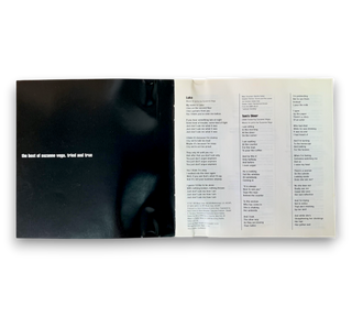 The Best Of Suzanne Vega: Tried And True