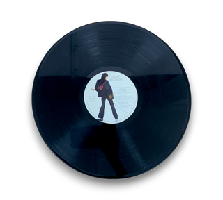 Rock 'N' Roll Juvenile