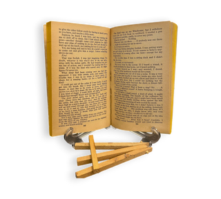 The Man from the Broken Hills