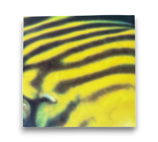 Sharks Patrol These Waters - The Best Of Volume Part 2