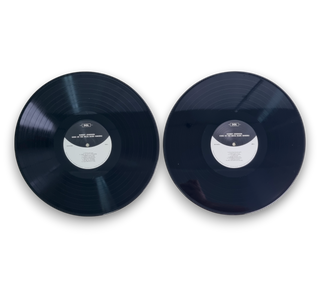 King Of The Delta Blues Singers