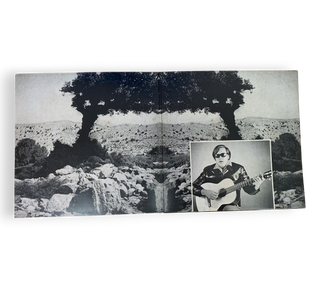 A Spanish Portrait Of