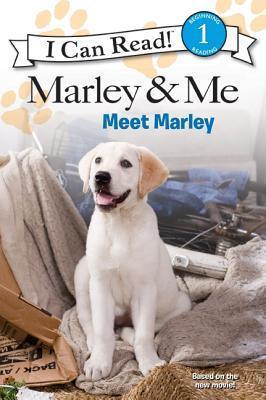 Marley & Me : Meet Marley - Thryft