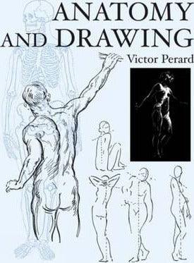 Anatomy and Drawing - Thryft