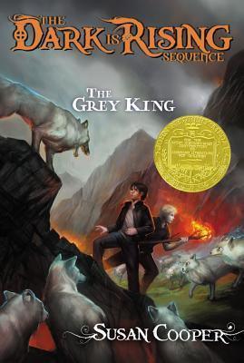 The Grey King - Thryft