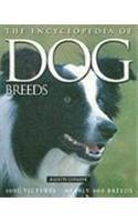 The Encyclopedia of Dog Breeds - Thryft