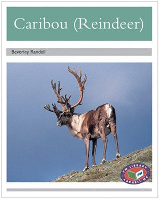 Caribou (Reindeer) - Thryft