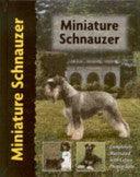 Miniature Schnauzer - Thryft