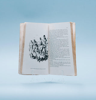 Anna Karenina (Simplified and Illustrated) - Thryft