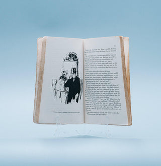 Anna Karenina (Simplified and Illustrated) - Thryft