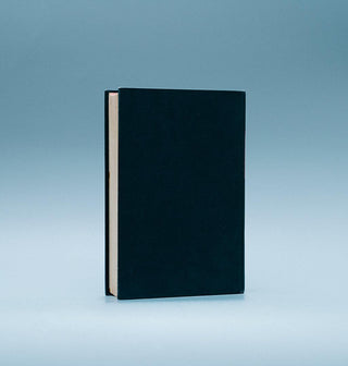 Government Under Law - Thryft