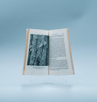 The Mechanism of Evolution - Thryft