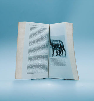 The Kindness of Strangers: the abandonment of children in Western Europe from Late Antiquity to the Renaissance - Thryft