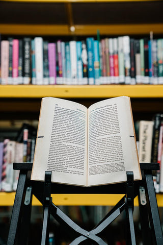 The Obstructed Path - Thryft