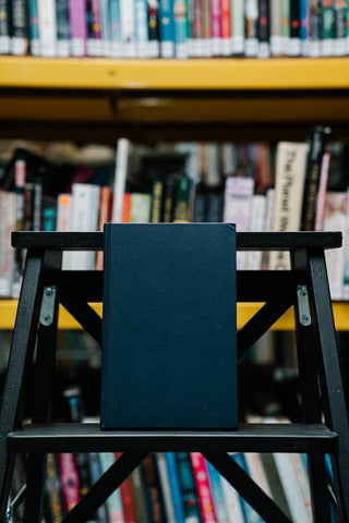 Laws and Explanation in History - Thryft