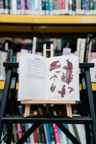 Pocket Guide to The Birds of Borneo - Thryft