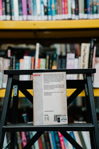 The Americans: the democratic experience - Thryft