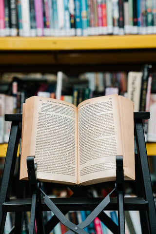 The Americans: the democratic experience - Thryft