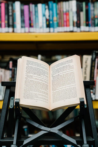 Miss Smilla's Feelings for Snow - Thryft