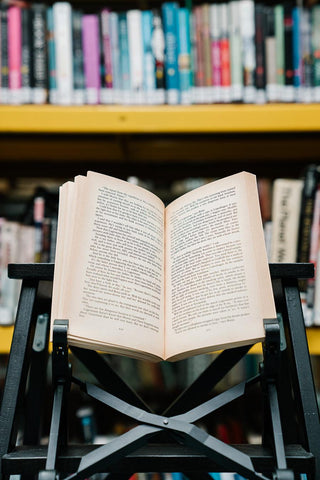 Miss Smilla's Feelings for Snow - Thryft