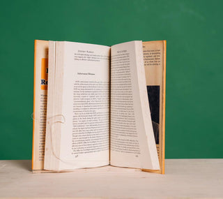 The Politics of Regulation - Thryft