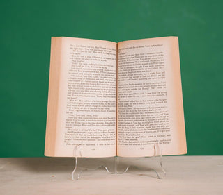 The Boy who Followed Ripley - Thryft