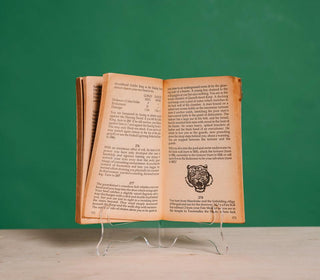 The Way of the Tiger: Assasin! - Thryft