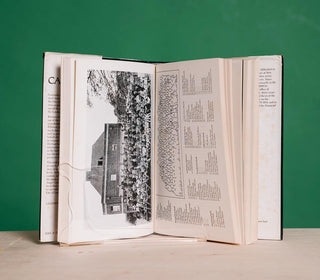 Casenove & Co: A History - Thryft